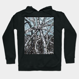 'Blue Ridge Ruminations #9' Hoodie